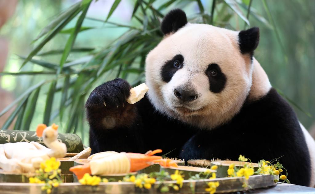 ??????: ??????? ???????? ?????? ?????? ?? ??????? ?????? ?????