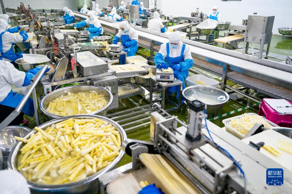 ?????? ?????? ?????? ?????? ???? ?? ????? ????????