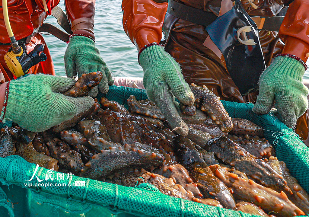 6 ??????? ????? ?????? ????? ???????? ?? ????? ???? ?????