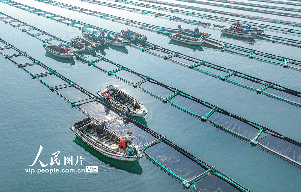 6 ??????? ????? ?????? ????? ???????? ?? ????? ???? ?????