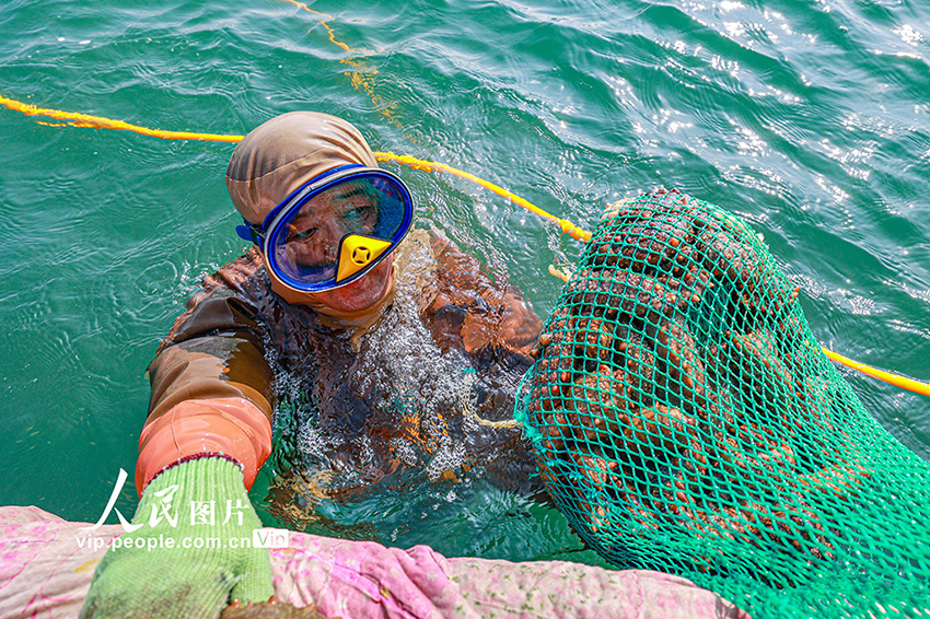 6 ??????? ????? ?????? ????? ???????? ?? ????? ???? ?????