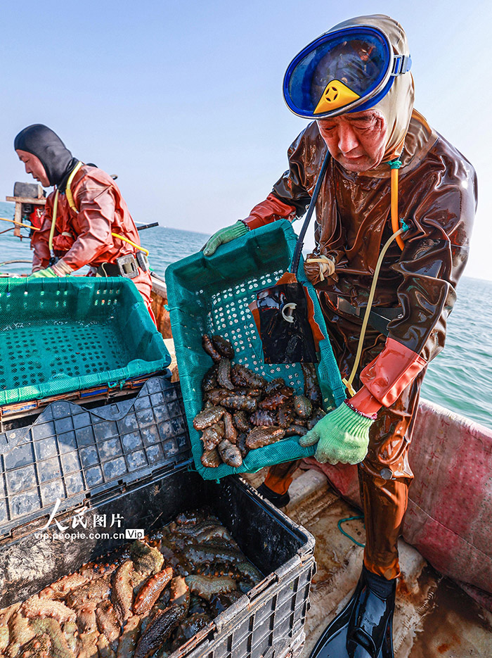 6 ??????? ????? ?????? ????? ???????? ?? ????? ???? ?????