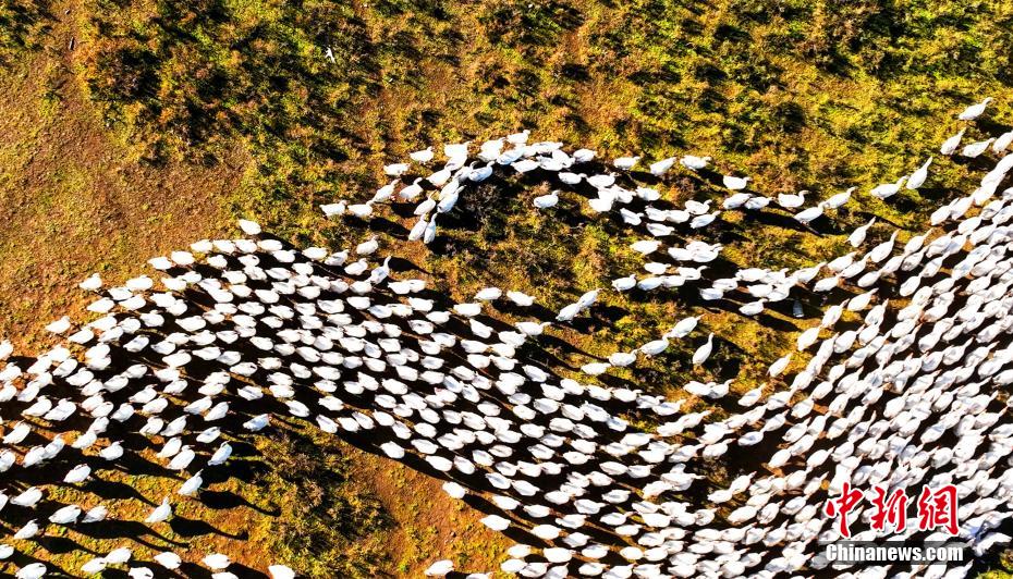 ??????? ?????????: ????? ????? ?????? ????? ?? ????? ??????