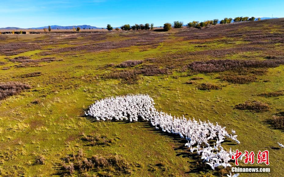 ??????? ?????????: ????? ????? ?????? ????? ?? ????? ??????