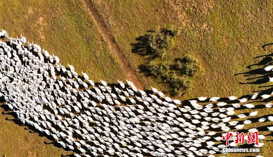 ??????? ?????????: ????? ????? ?????? ????? ?? ????? ??????