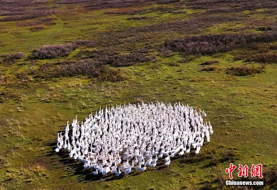 ??????? ?????????: ????? ????? ?????? ????? ?? ????? ??????