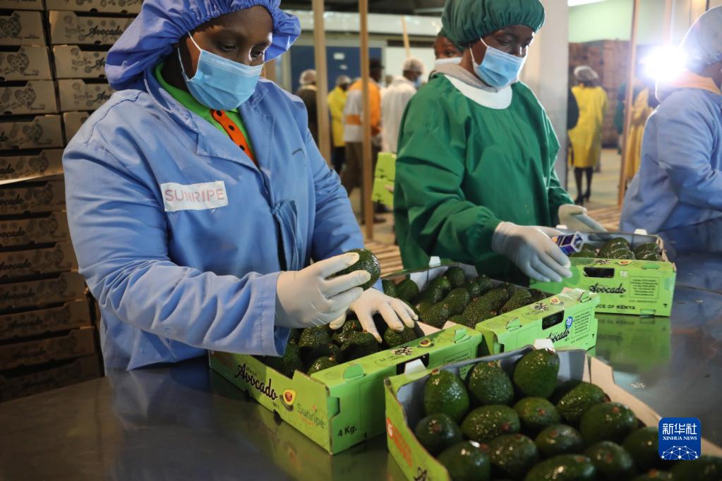 ???? ????? ?????? ????????? .. ??? ??? ???? ?????? ???? ????????? ?????? ?? ??????