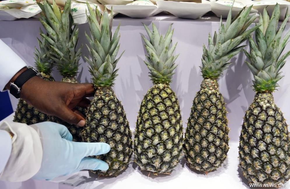 ?????? ???? ????? ?????? ?????? ????????? ?? ???????