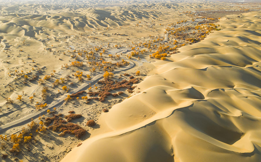 ????? ????? ?? ????? ?????????? ????? ???????