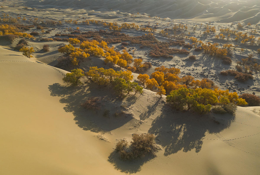 ????? ????? ?? ????? ?????????? ????? ???????