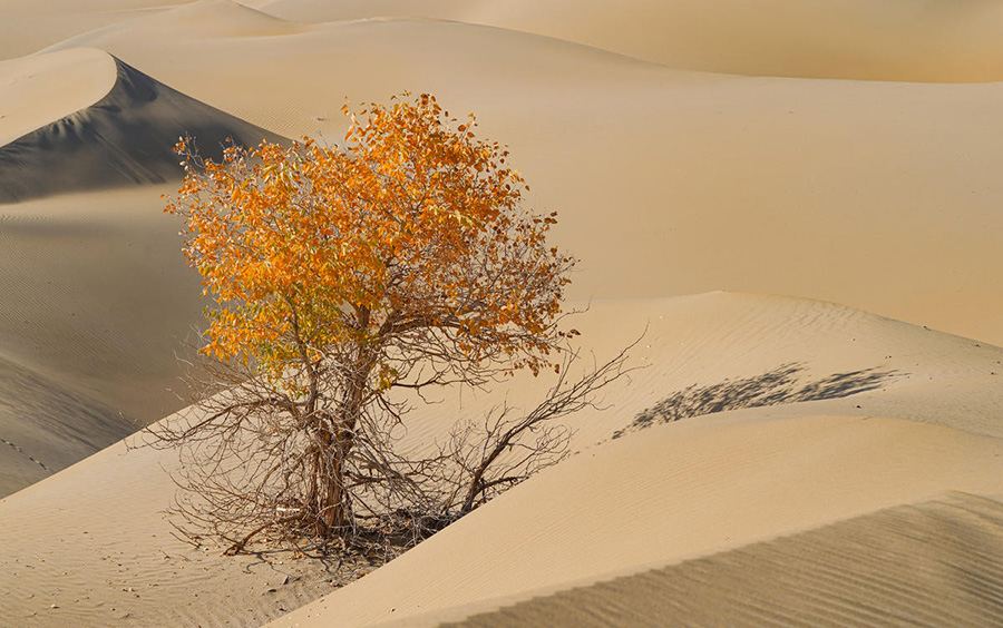 ????? ????? ?? ????? ?????????? ????? ???????