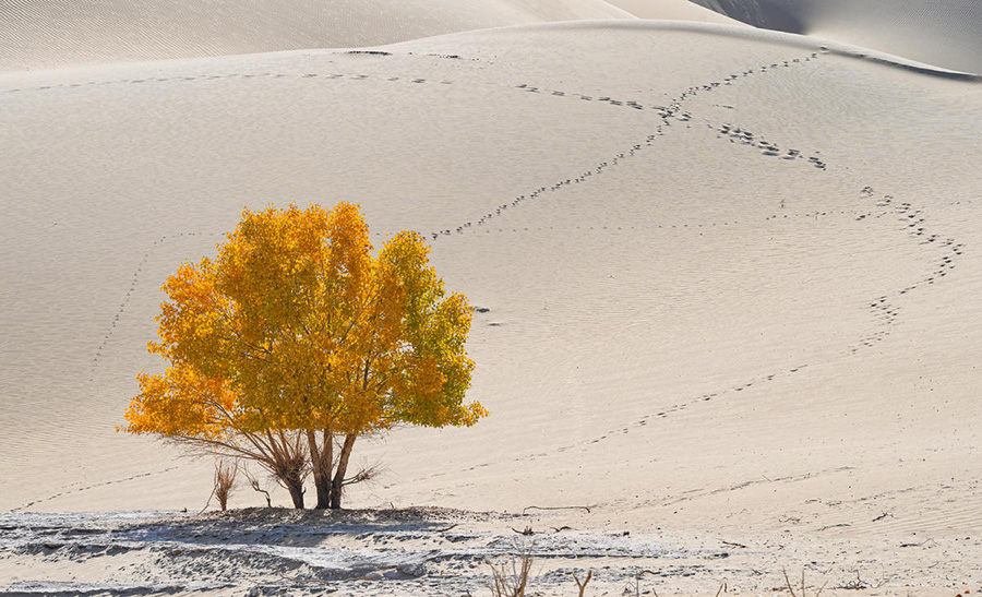 ????? ????? ?? ????? ?????????? ????? ???????