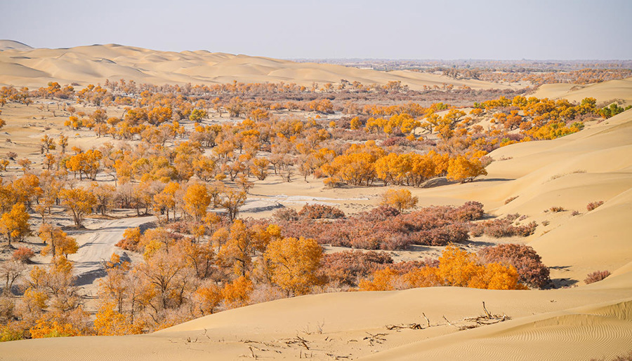 ????? ????? ?? ????? ?????????? ????? ???????