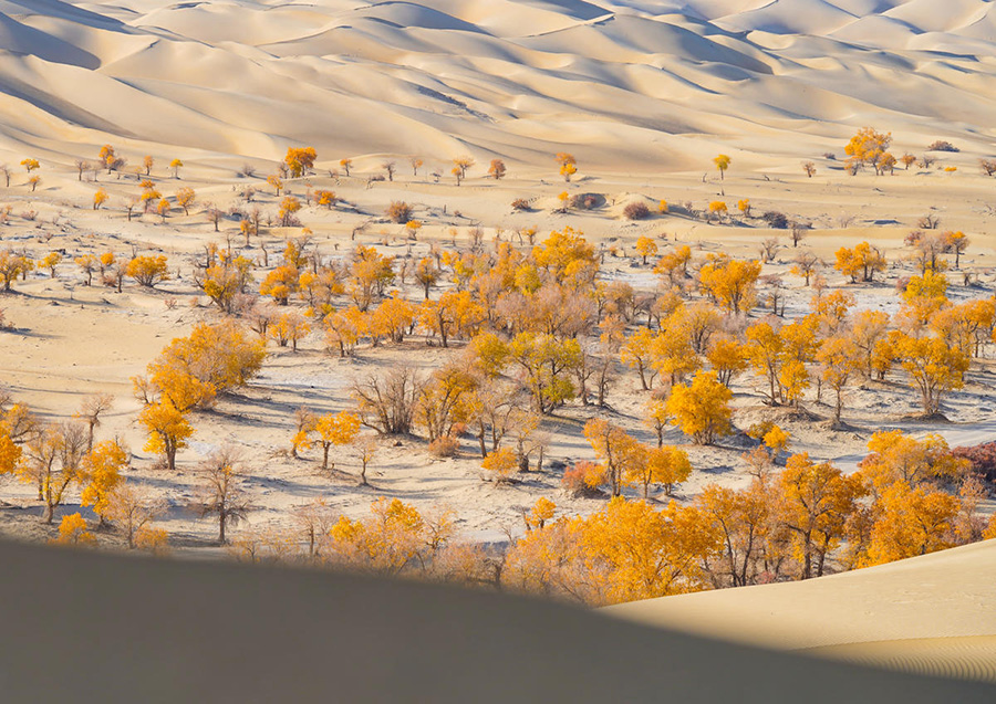 ????? ????? ?? ????? ?????????? ????? ???????