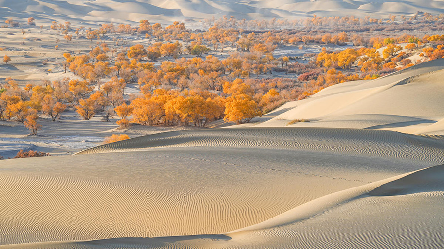 ????? ????? ?? ????? ?????????? ????? ???????