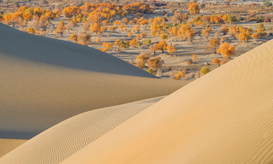 ????? ????? ?? ????? ?????????? ????? ???????