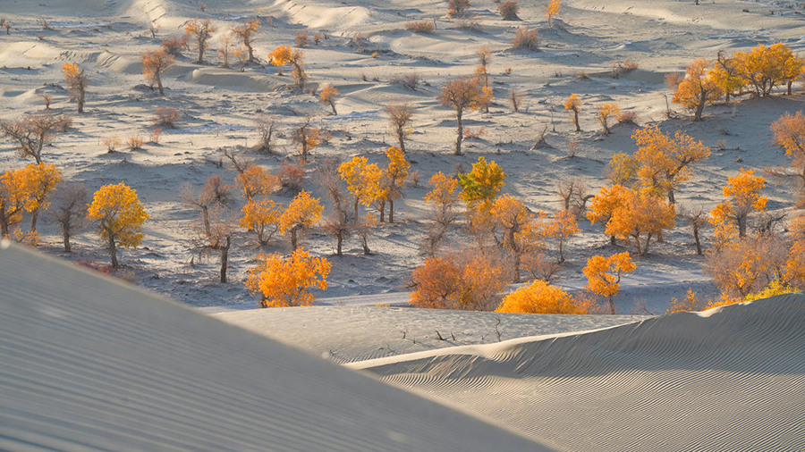 ????? ????? ?? ????? ?????????? ????? ???????