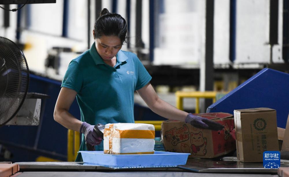 ????? ??????? ????? ???????? ?????? 