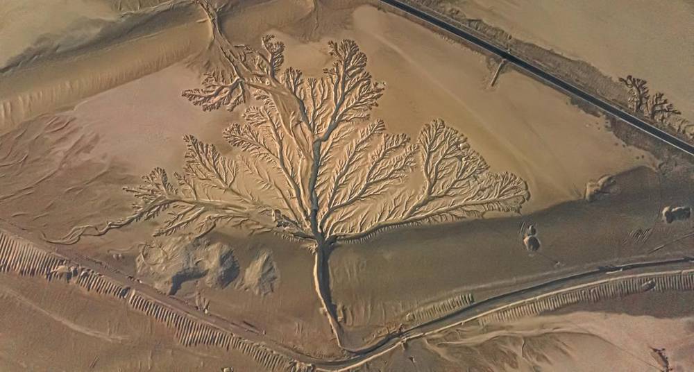 ??????? ???? ?? ??? ??????