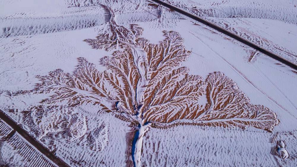 ??????? ???? ?? ??? ??????