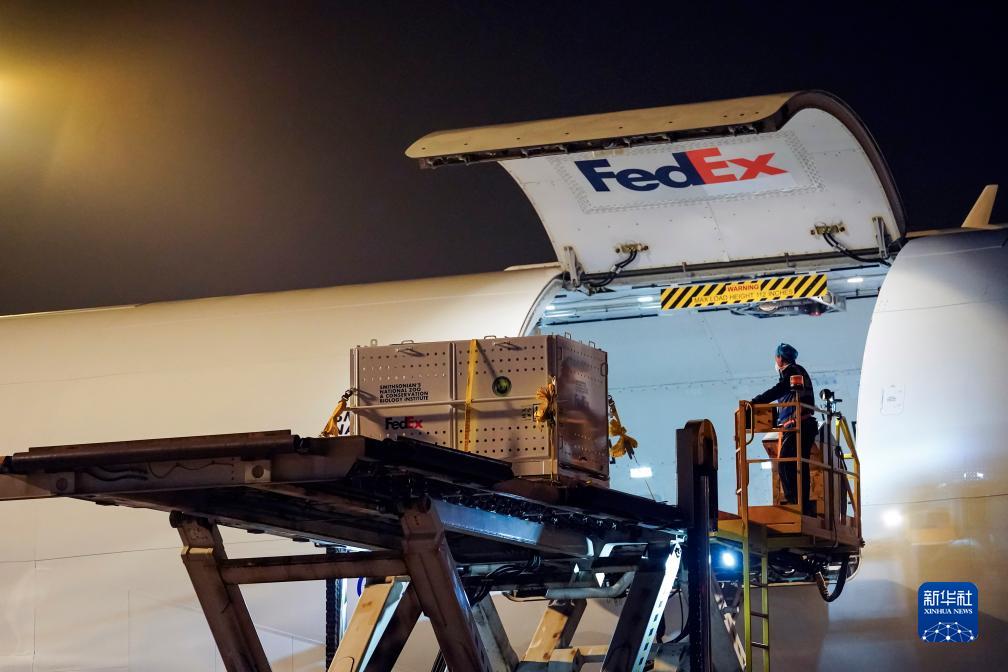 ???? ????? ?? ??????? ??????? ???????? ??? ????? ?? ???????? ???????