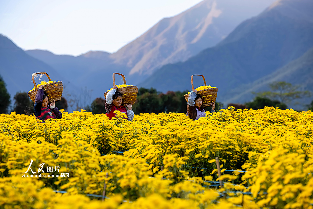 ????? ????????? ???? ????? ???????? ????? ??????? ?????? ??????