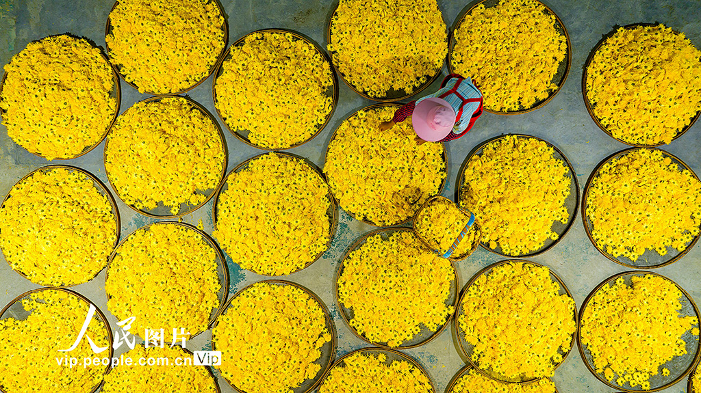 ????? ????????? ???? ????? ???????? ????? ??????? ?????? ??????