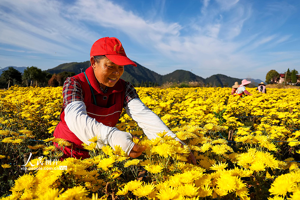 ????? ????????? ???? ????? ???????? ????? ??????? ?????? ??????