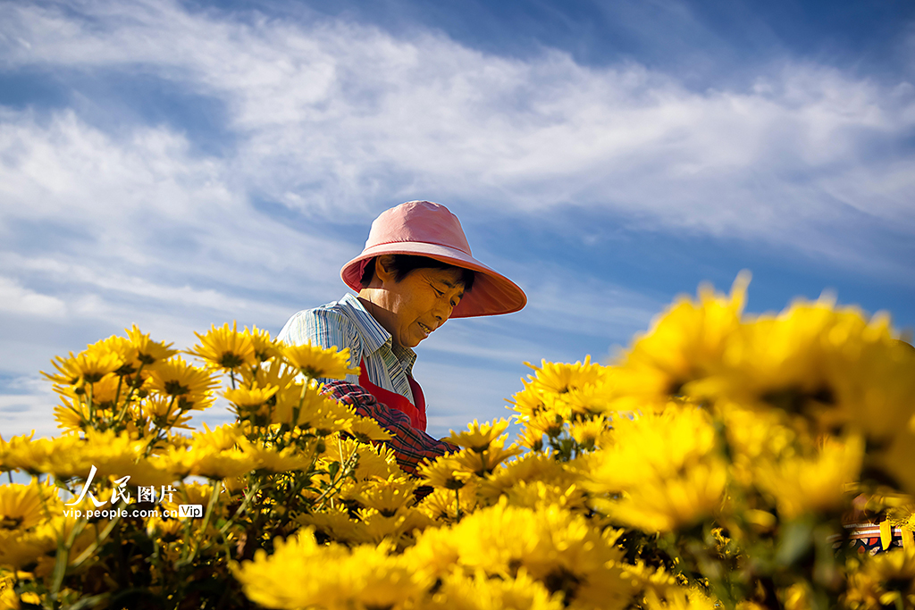 ????? ????????? ???? ????? ???????? ????? ??????? ?????? ??????