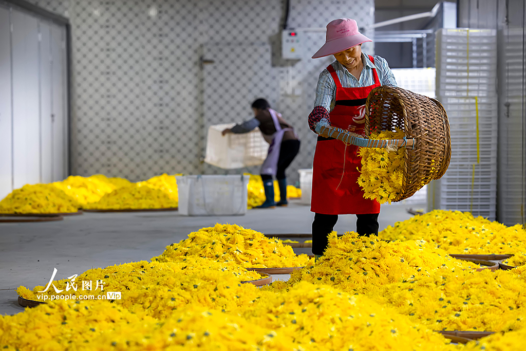 ????? ????????? ???? ????? ???????? ????? ??????? ?????? ??????