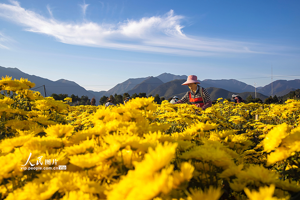 ????? ????????? ???? ????? ???????? ????? ??????? ?????? ??????