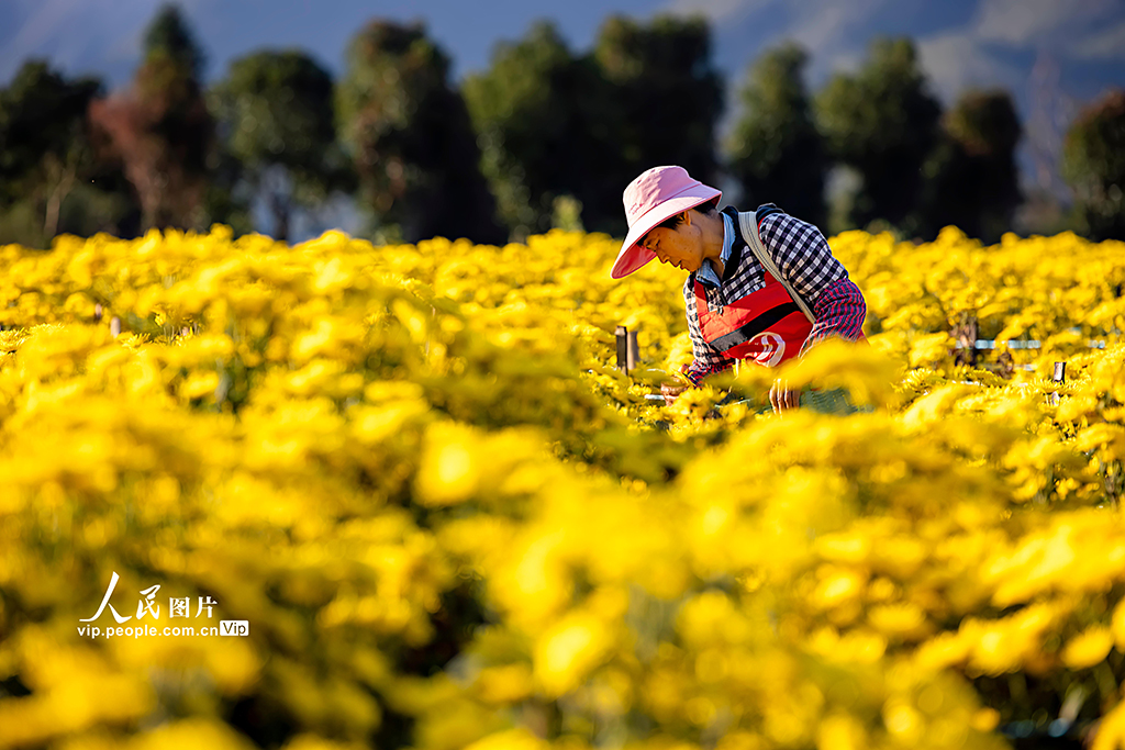 ????? ????????? ???? ????? ???????? ????? ??????? ?????? ??????