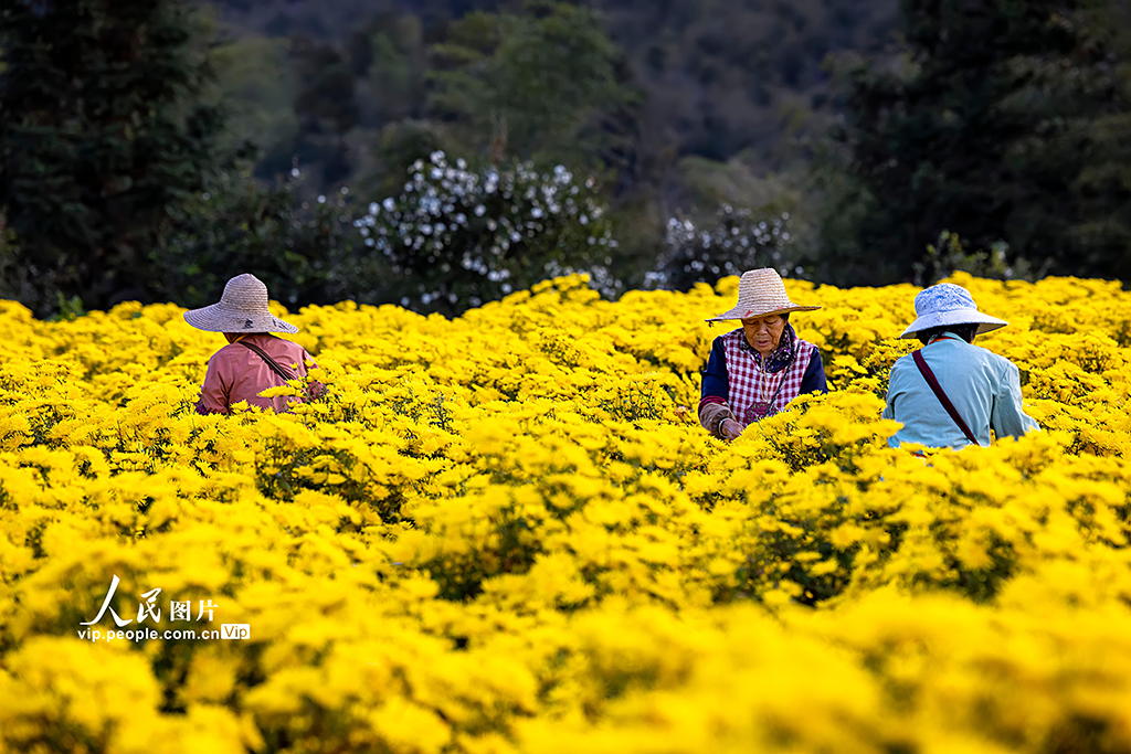 ????? ????????? ???? ????? ???????? ????? ??????? ?????? ??????