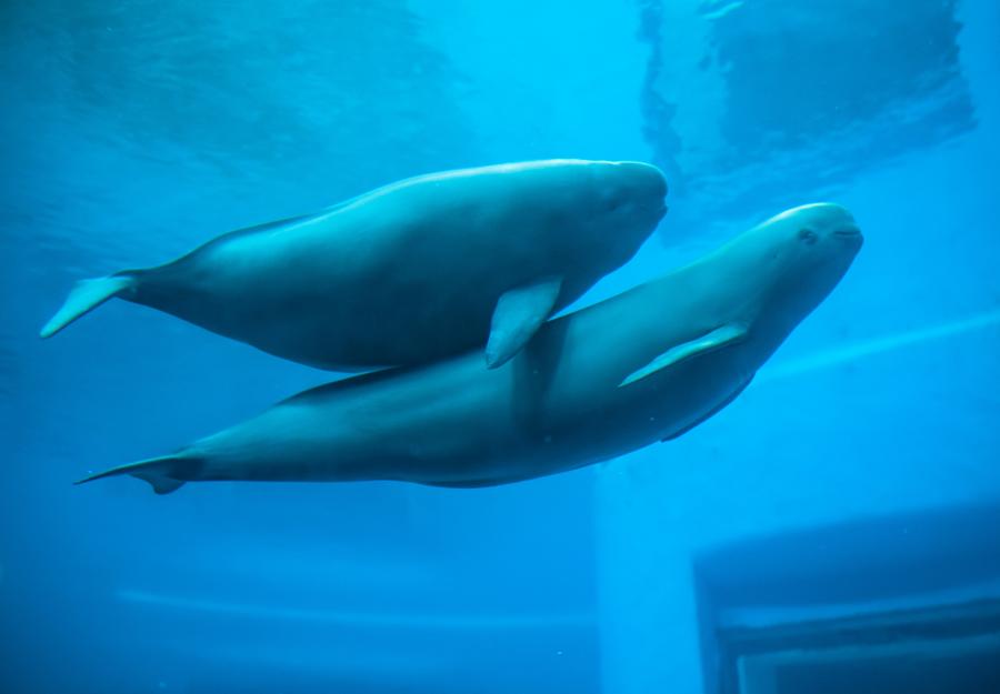 ????? ???? ?? ???? ???? ????? ????? ????????? ???? ????????? ?? ???????? ?? ????? ???????