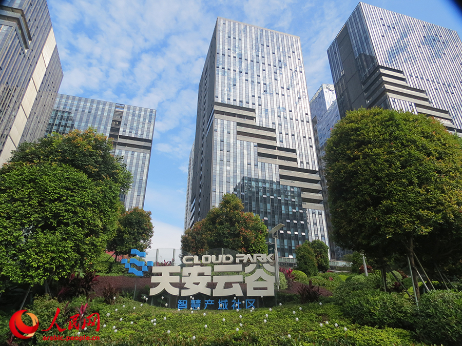 ???? ?????? ???????? ????? ???????? ??????? ?????? ?????