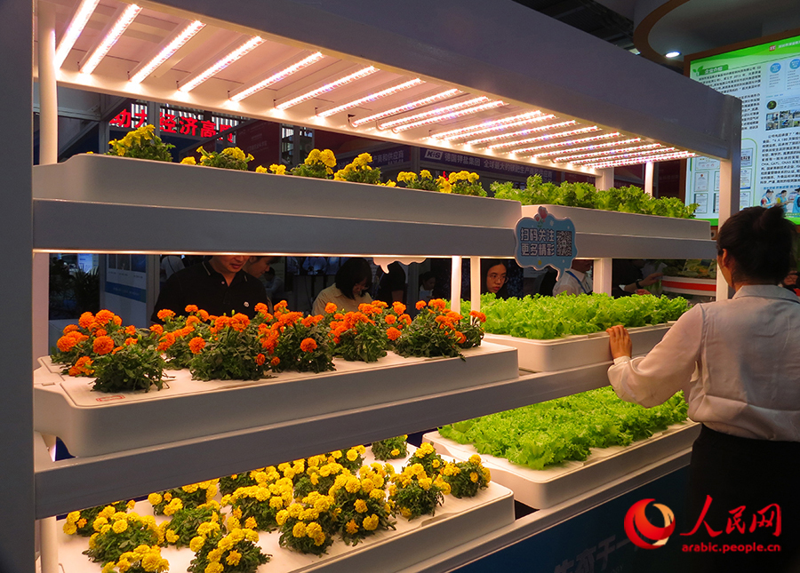 ???? ???? ?????? ?????: ??????? ???????? ?? ???? ????? ??????? ???????? ???? ???????? ???????