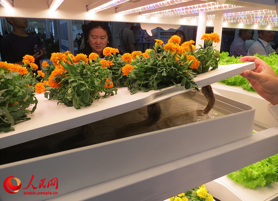 ???? ???? ?????? ?????: ??????? ???????? ?? ???? ????? ??????? ???????? ???? ???????? ???????