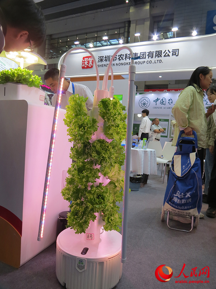 ???? ???? ?????? ?????: ??????? ???????? ?? ???? ????? ??????? ???????? ???? ???????? ???????