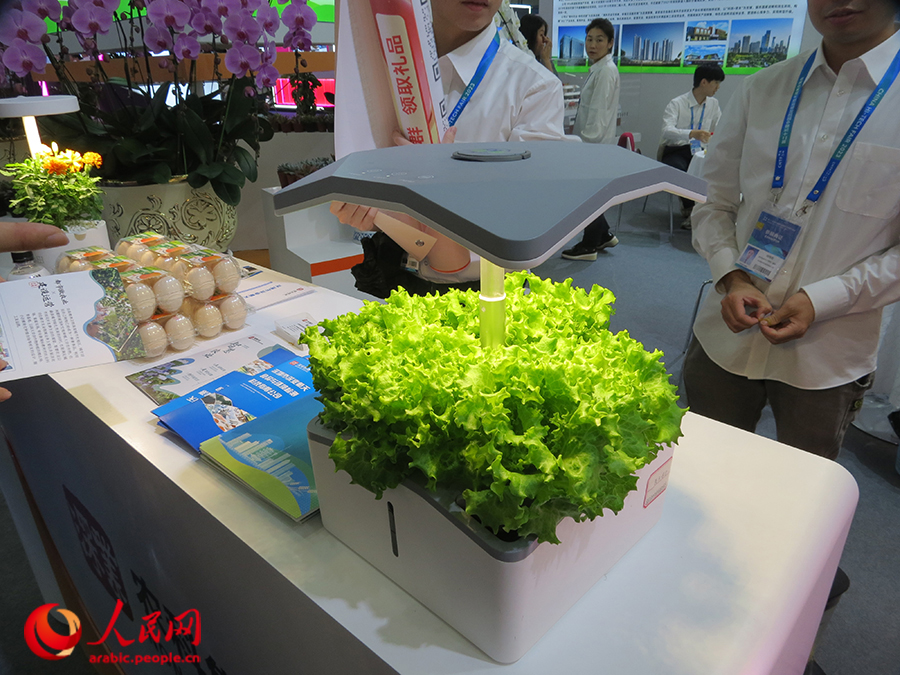 ???? ???? ?????? ?????: ??????? ???????? ?? ???? ????? ??????? ???????? ???? ???????? ???????