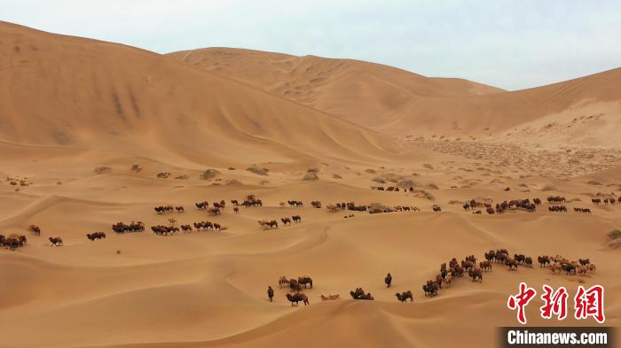 ?????? ?? ????? ??????? ???????? ?????? ??? ????? ??? ??????? ???????