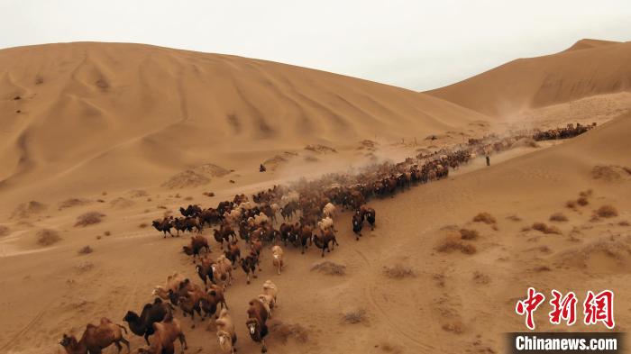 ?????? ?? ????? ??????? ???????? ?????? ??? ????? ??? ??????? ???????