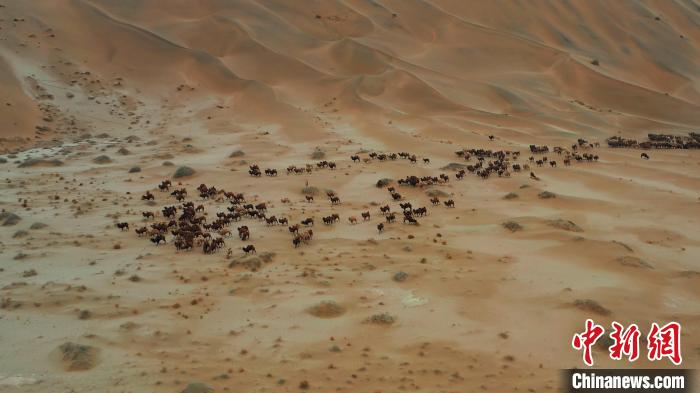 ?????? ?? ????? ??????? ???????? ?????? ??? ????? ??? ??????? ???????