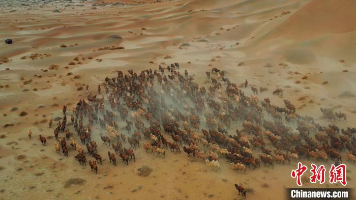 ?????? ?? ????? ??????? ???????? ?????? ??? ????? ??? ??????? ???????