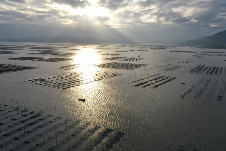 ??????? ??????? ?? ????? ???? ???? ?????? ???? ?????? ?????? ?????? ?? ????? ??????