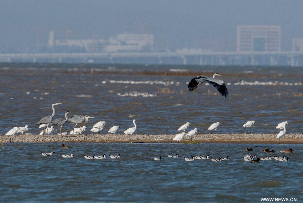 ?????? ???????? ??? ????? ????? ????? ??????