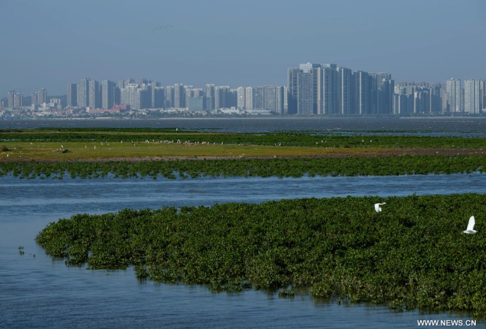 ?????? ???????? ??? ????? ????? ????? ??????