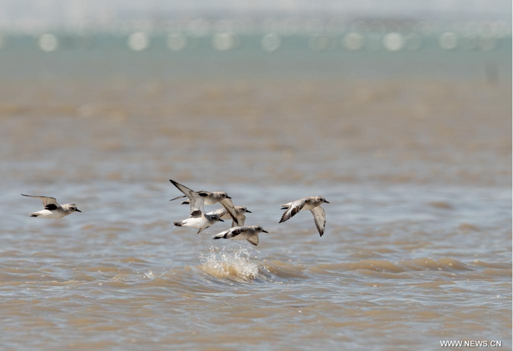 ?????? ???????? ??? ????? ????? ????? ??????