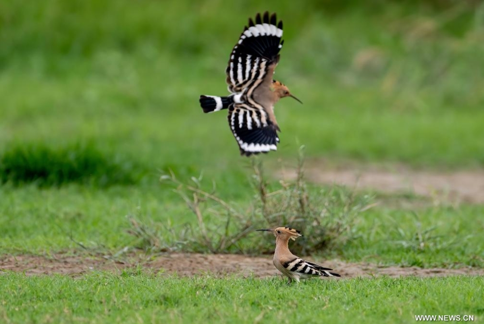 ?????? ???????? ??? ????? ????? ????? ??????