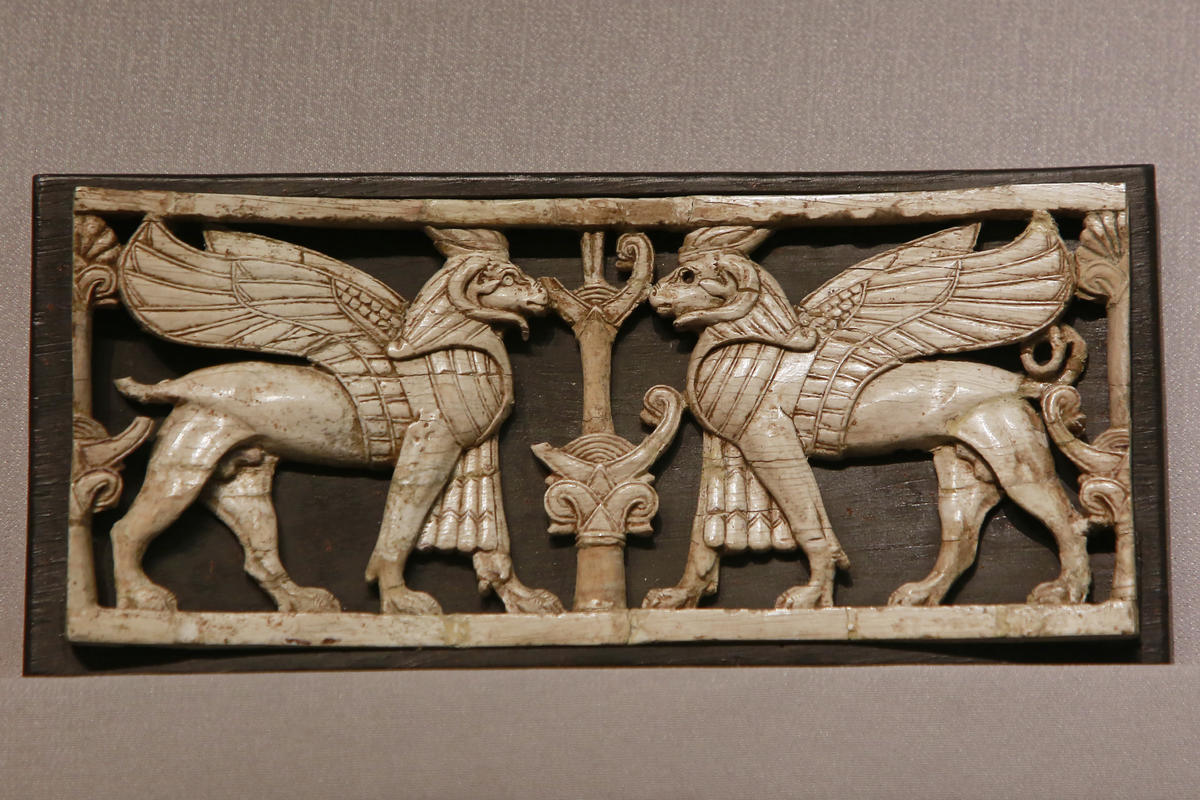 ???????? ???????: ???? ?????? ???????? ??????? ??????? ???????? ???? ??????