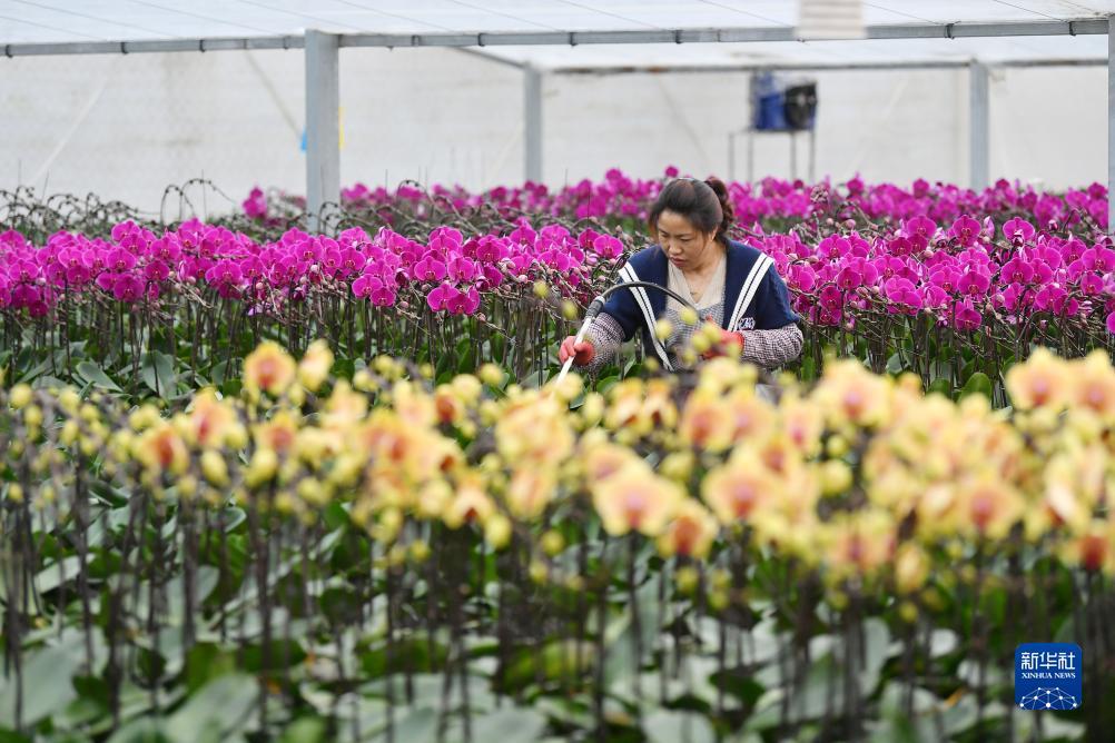 ???? ?????? ?? ??????? ?????? ???? ????????